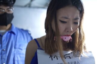 [JSWM-039] 林若雪脱獄記 2