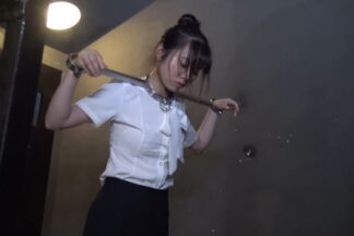 [SJWM-084] 白領入監懲罰
